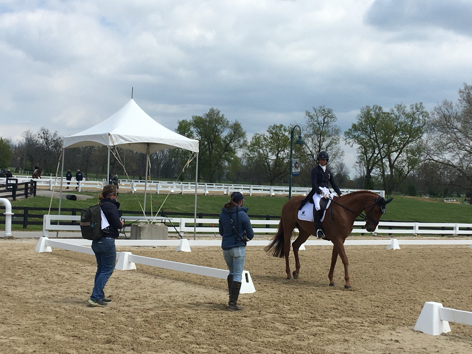jb&foxy dressage warm up